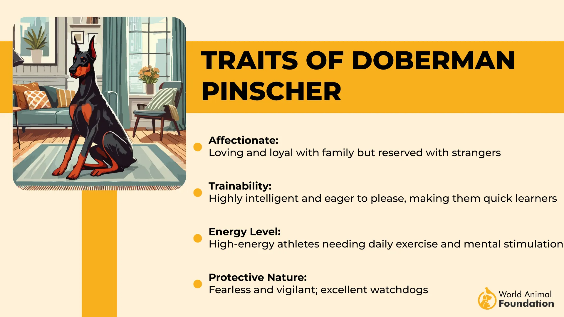 Traits & Personality of Doberman Pinscher-01