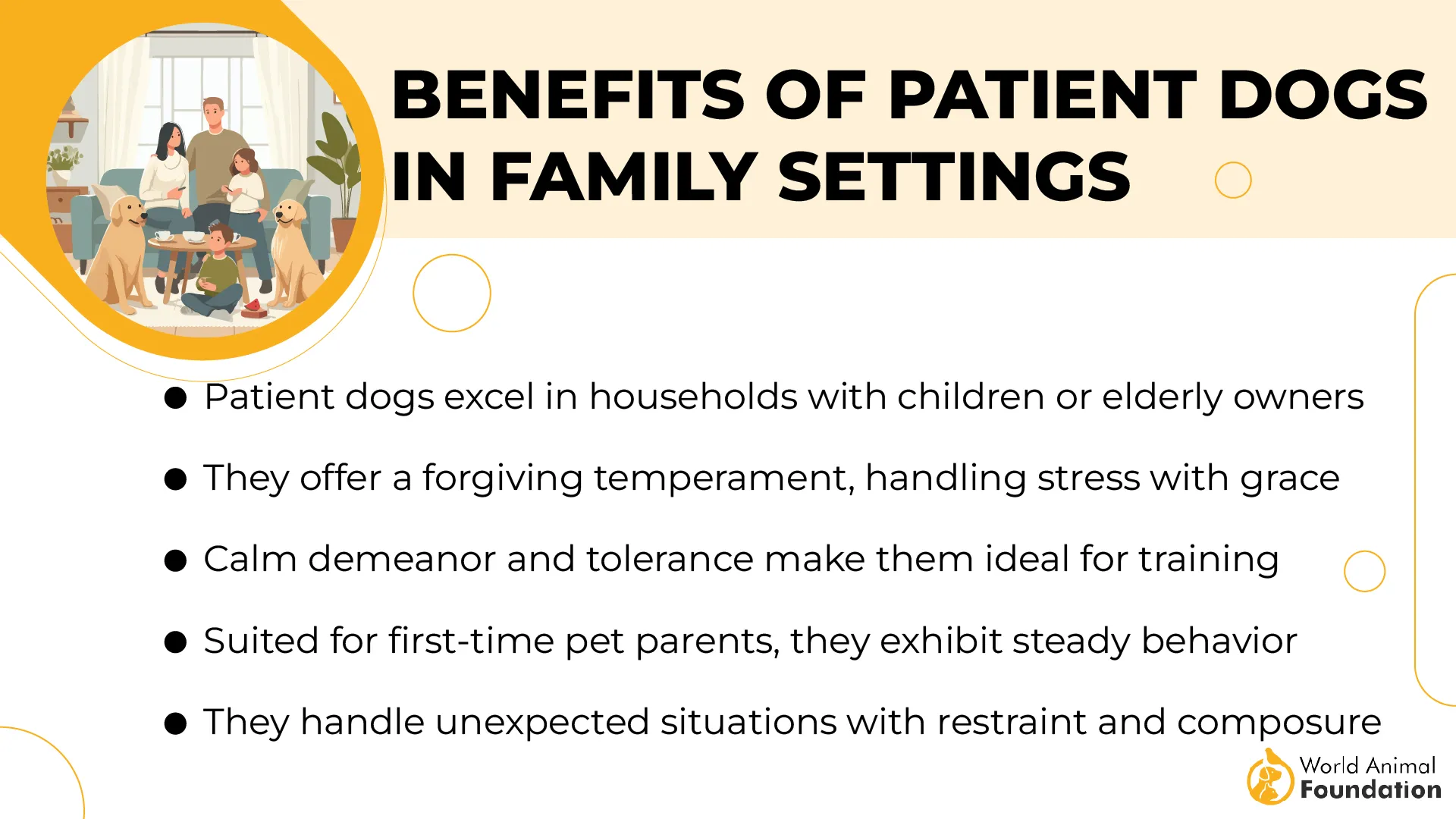 Benefits of Patient Dogs in Family Settings-01