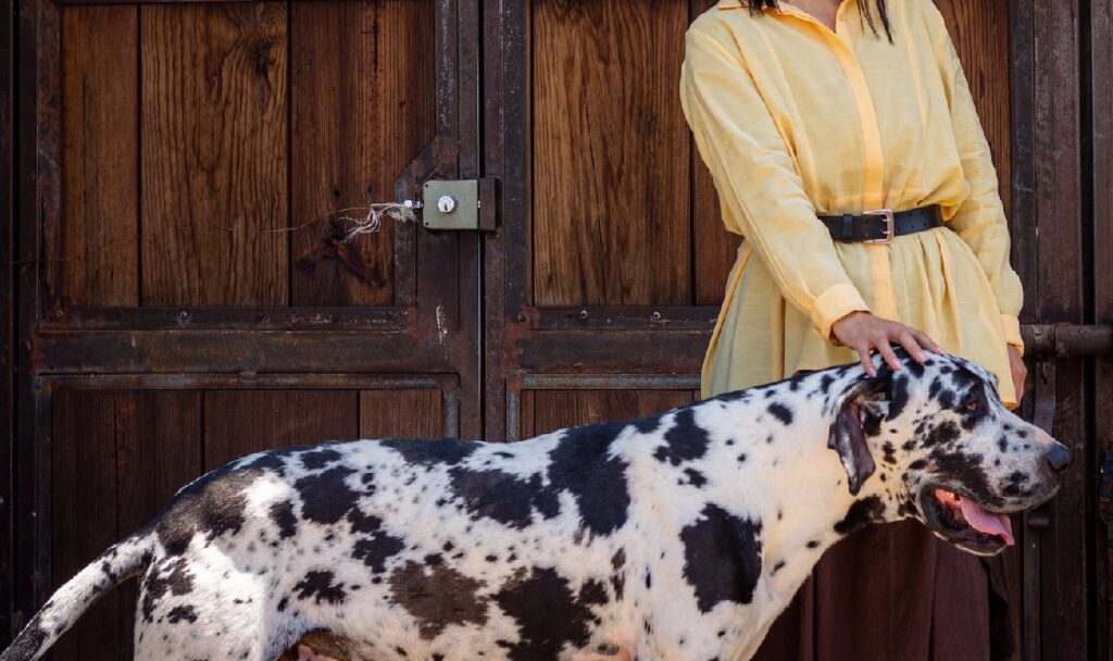 best dogs for females living alone