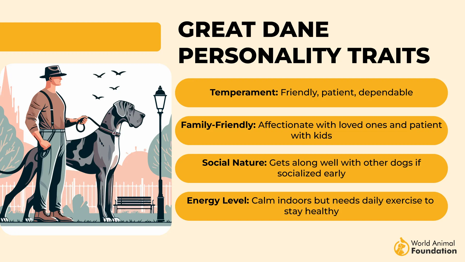 Traits & Personality of Great Dane-01