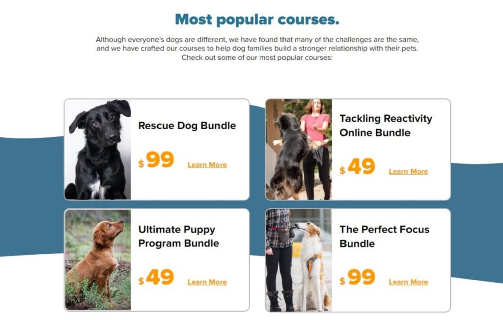 spiritdog training
