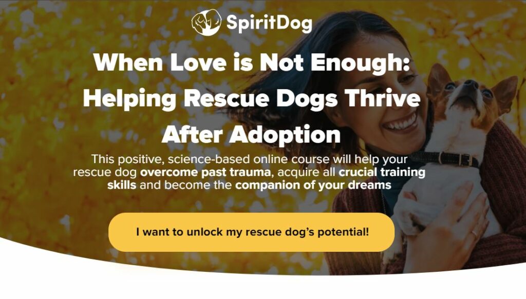 spiritdog training reviews