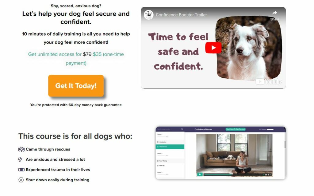 spirit dog training