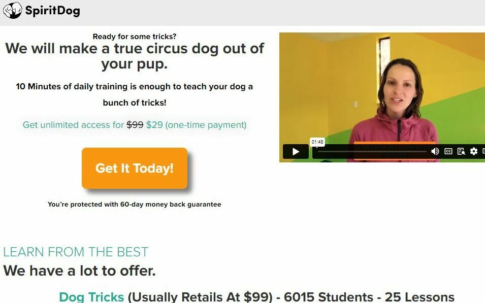 spiritdogtraining