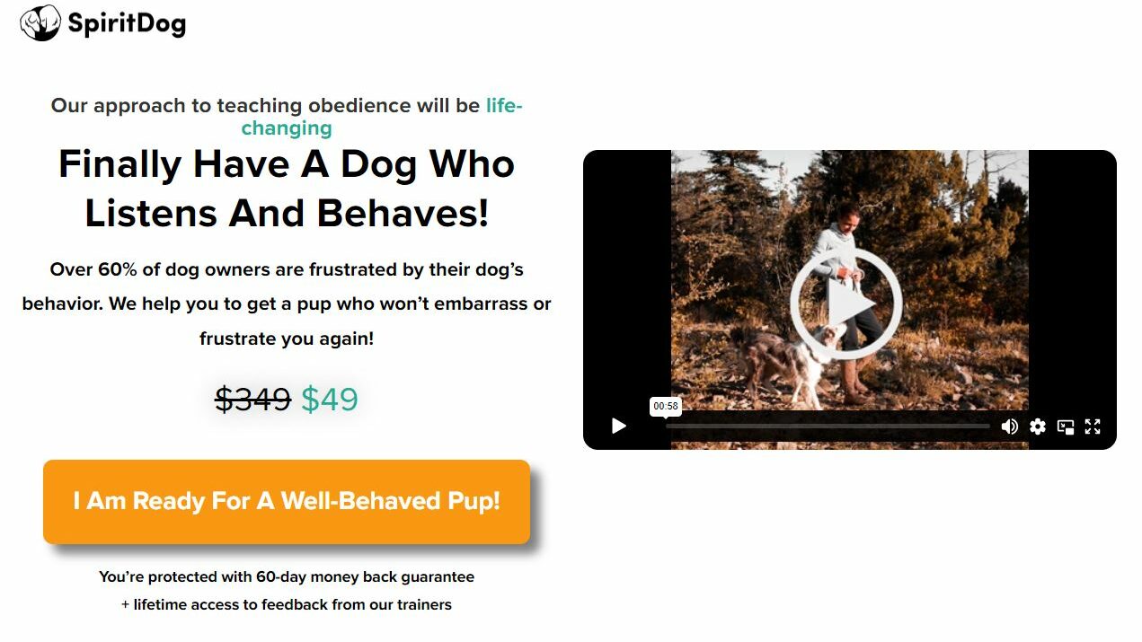 online dog training reviews