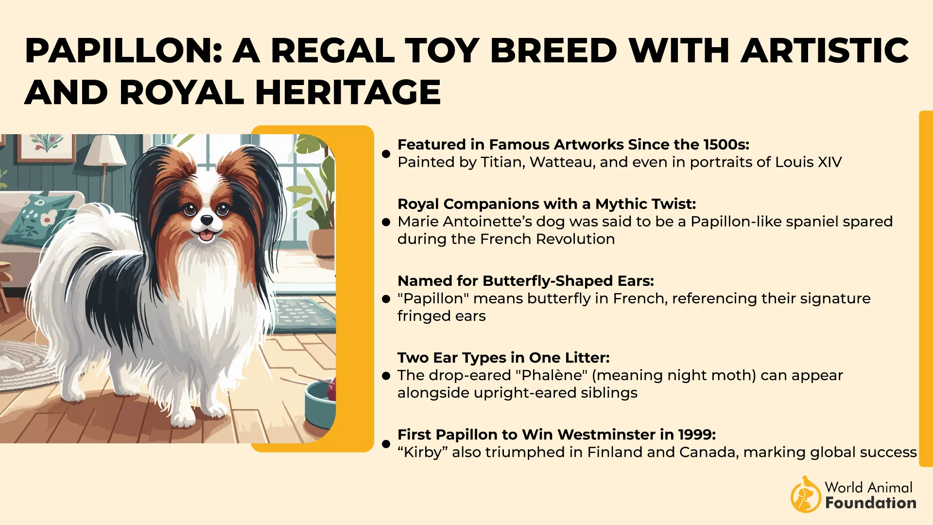 Papillon A Regal Toy Breed with Artistic and Royal Heritage-01