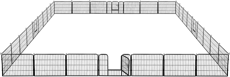 dog fence